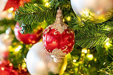 科乐美NS《心跳回忆女生版4》新DLC发售 柔道男登场